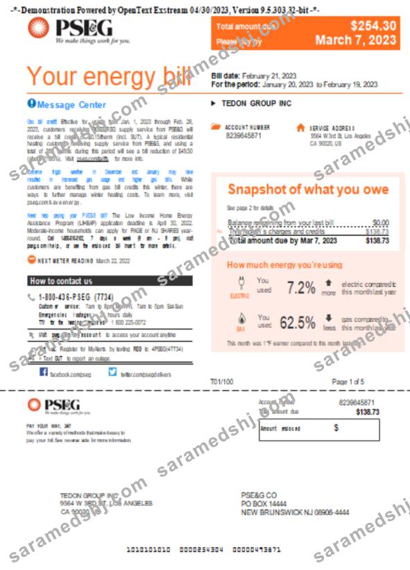 New York PSEG utility business bill,  page 1, SCR